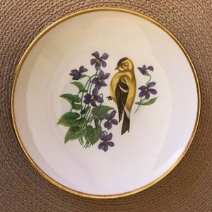 Bavaria Schumann Arzberg Germany plate.  Vintage